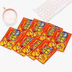 10PCS🔥Body Warmer Adhesive on Clothes Disposable